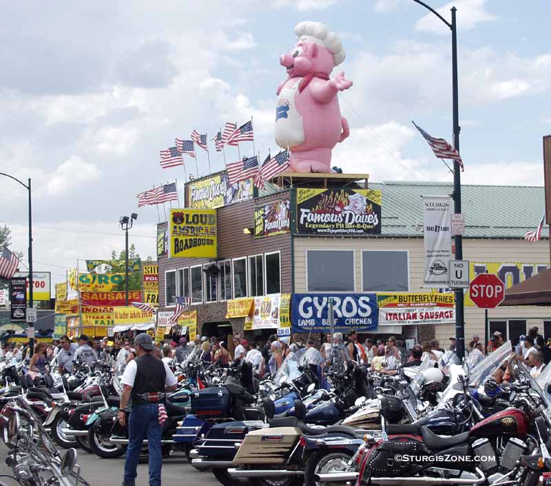 hampshire hog