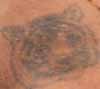 tiger tattoo