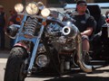 P8106413P8106413- youtubed