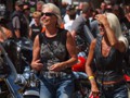 P8106655P8106655- youtubed