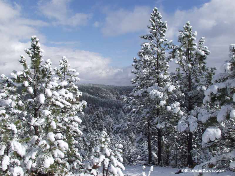 Hills winter
