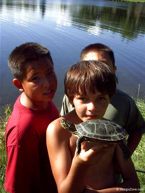 Turtle time by the Harley tent